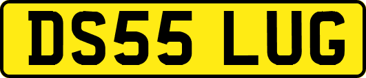 DS55LUG