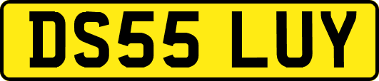 DS55LUY