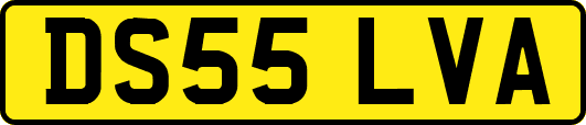 DS55LVA