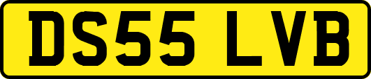 DS55LVB
