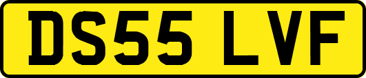 DS55LVF