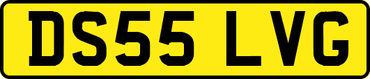DS55LVG