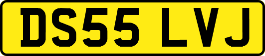 DS55LVJ
