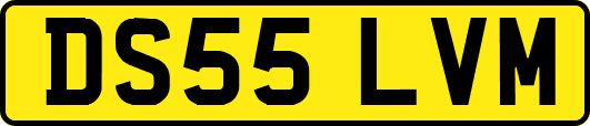 DS55LVM