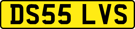 DS55LVS