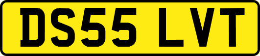 DS55LVT