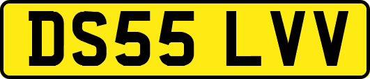 DS55LVV