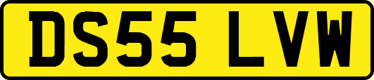 DS55LVW
