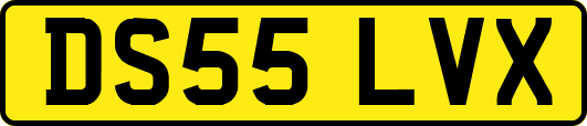 DS55LVX
