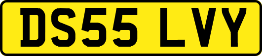 DS55LVY