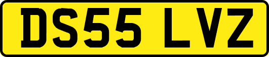 DS55LVZ