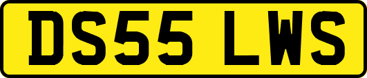 DS55LWS
