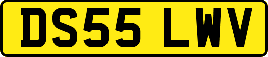 DS55LWV