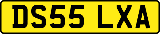 DS55LXA