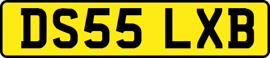DS55LXB