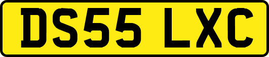 DS55LXC
