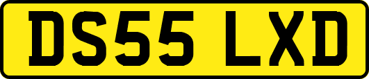 DS55LXD