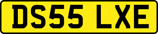 DS55LXE