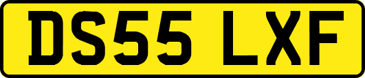 DS55LXF