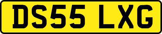 DS55LXG