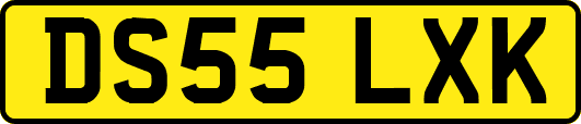 DS55LXK