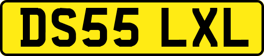 DS55LXL