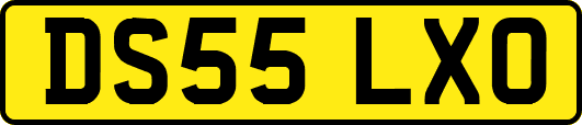 DS55LXO