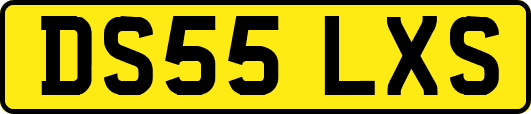DS55LXS