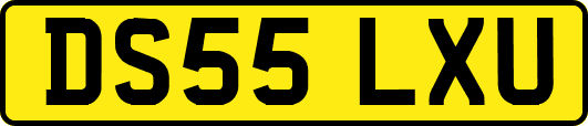 DS55LXU