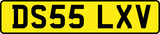 DS55LXV