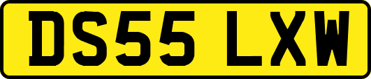 DS55LXW