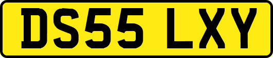 DS55LXY