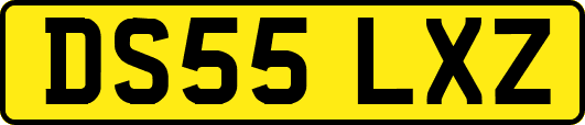 DS55LXZ