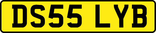 DS55LYB