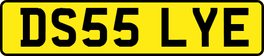DS55LYE