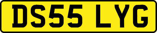 DS55LYG