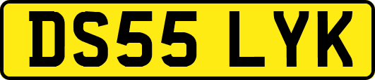 DS55LYK