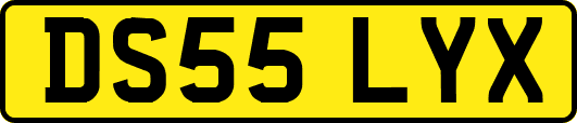 DS55LYX