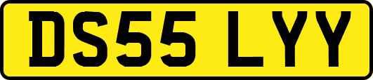 DS55LYY