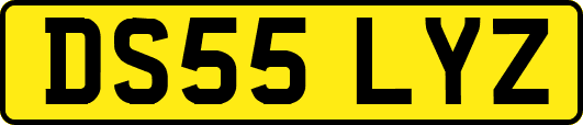 DS55LYZ