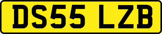 DS55LZB