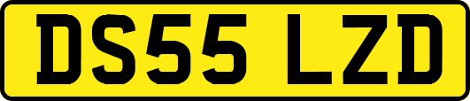 DS55LZD