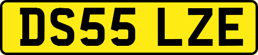 DS55LZE