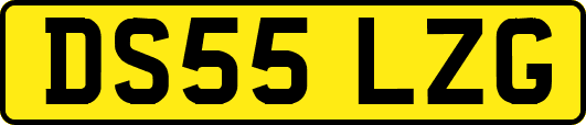 DS55LZG