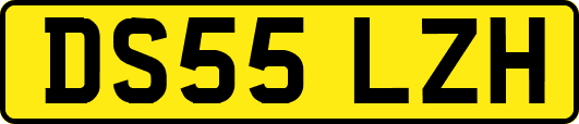 DS55LZH