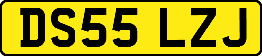 DS55LZJ