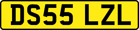 DS55LZL