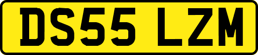DS55LZM
