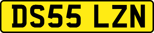 DS55LZN