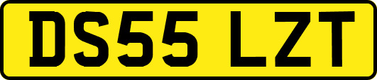 DS55LZT